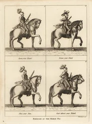 Ejercicio del caballo