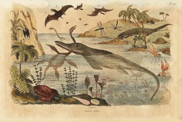 Dinosaurios extintos, ictiosaurio, plesiosaurio, animales marinos, pterodáctilos, lagartos, tortugas, insectos, peces, calamares, moluscos, etc.