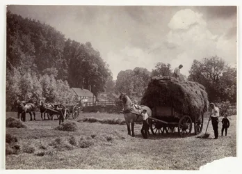Escenas de agricultura, Cosecha y almacenamiento, Heno pre-1900, c. 1890
