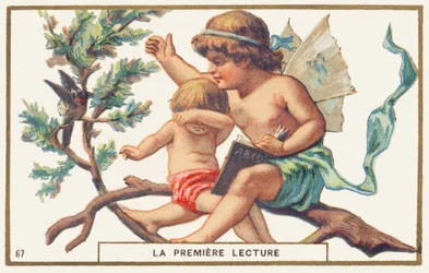Primera lectura, fondo blanco. Cromolitografía publicitaria que representa a dos niños sentados en una rama. El mayor, con alas en la espalda (¿un ángel) sostiene un abecedario abierto en una mano; con la otra quiere cazar un pájaro que molesta al lec