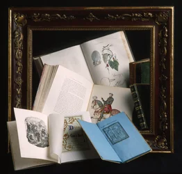 Marco de madera lacada color burdeos y decoraciones con motivos en relieve de oro, finales del siglo XIX. Varios libros abiertos: atlas anatómico con láminas coloreadas a mano