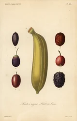 Frutas, frutas con hueso