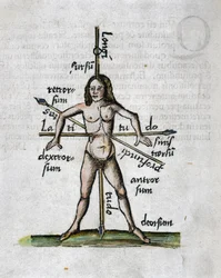 Geografía siglo XVI: figura humana representando las longitudes y latitudes, su cuerpo es atravesado por lanzas orientadas según los ángulos de las líneas imaginarias