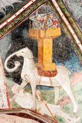 Fresco gótico; Eleazar Awaran mata al Elefante de Guerra Solimán y es aplastado; 3. claustro; Catedral; Brixen; Tirol del Sur; Italia; Europa