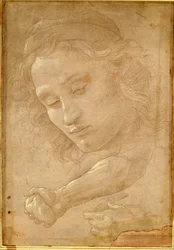 Cabeza de un joven, dibujo de una página de "Libro dei Desegni" de Giorgio Vasari