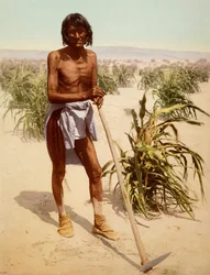 Hombre Hopi con una azada, Arizona