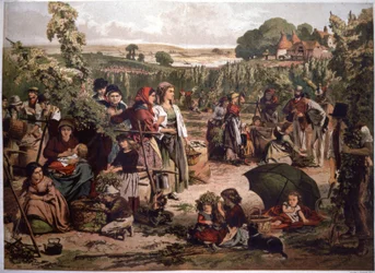 Recolección de lúpulo en Inglaterra, finales del siglo XIX (ilustración)