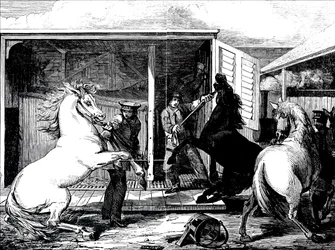 Caballos en la estación de tren de Gloucester