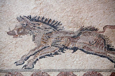 Escena de caza: Un jabalí - Mosaicos de Pafos, Casa de Dionisos - Finales del siglo II d.C. - Chipre - Escena de caza: Jabalí en movimiento - Mosaicos de Pafos, Casa de Dionisos - Finales del siglo II d.C. - Sitio UNESCO, Chipre
