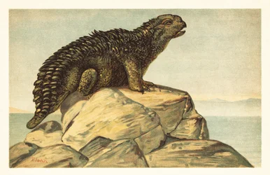 Hylaeosaurus armatus, dinosaurio herbívoro extinto anquilosado1908 (litografía)