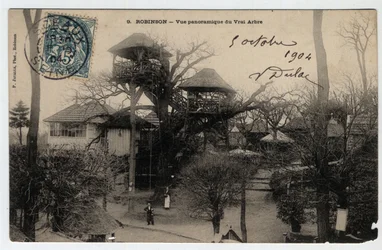 Île de France, Hauts de Seine (92), Le Plessis Robinson: vista panorámica del “Vrai Arbre”, una guinguette instalada en la cima de un castaño - Postal fechada en 1904
