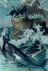 Ilustración de un atún
