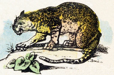 J - Jaguar - Alfabeto - entretenimiento infantil - Imagen epinal, serie popular c.1890 (ilustración)