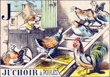 J Juchoir a poules - "Alfabeto de la granja" finales del siglo XIX (grabado)