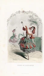 La fee de la fleur de grenade danse - Aguafuerte de Charles Geoffroy (1819-1882), basado en una ilustración de Jean Ignace Isidore Gerard dit J.J.J.Granville (1803-1847), para Les fleurs animees.