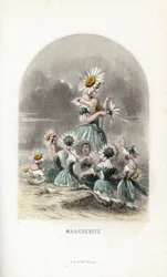 Les fees des daisies des pres, rematados con sombreros de flores, uno deja los pétalos de una margarita - Eau forte de Charles Geoffroy (1819-1882), según una ilustración de Jean Ignace Isidore Gerard dit J.J.Granville (1803-1847), para Les fleurs animees