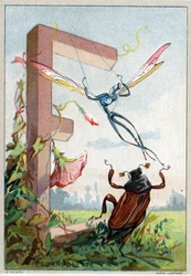Letra E como Escarpolette. Alfabeto artístico del Sr. Marinier. Editado por Henry Sicard, finales del siglo XIX. Cromolitografías publicitarias para productos vendidos en farmacias.