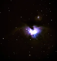 M42, 2005