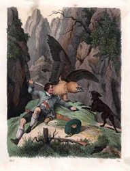 Mathias Sturz luchando contra un quebrantahuesos con un cuchillo. Litografía coloreada a mano del Libro del mundo de Carl Hoffmann, Stuttgart.