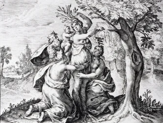 Mattei en las metamorfosis de Ovidio