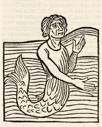Tritón