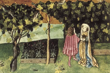 Miniatura sobre la uva, fruta que reduce la grasa abdominal y adelgaza - IBN BUTLAN, Abu-l Hasan al-Mujtar (c. 1001 - 1066). Médico y filósofo cristiano nestoriano de Bagdad. Folio 83r. Ilustración sobre las uvas, fruta que baja la grasa del vientre y li