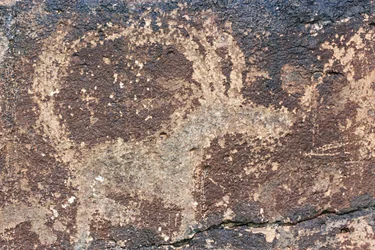 Mongolia, Desierto de Gobi, grabado rupestre