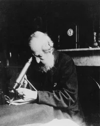 Mordecai Cubitt Cooke, escritor e ilustrador inglés, c 1900
