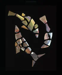 Fragmentos de mosaico de peces, c. siglo I a.C. - siglo I d.C.