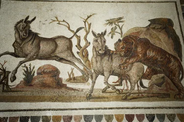 Mosaico de lucha de animales: tigre atacando a dos primates nocturnos. Siglo II d.C./Museo de El Jem (Antigua Thysdrus)/Túnez