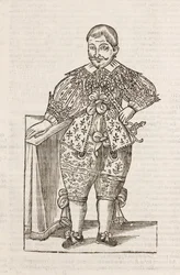 Nanus Illustrissimi D