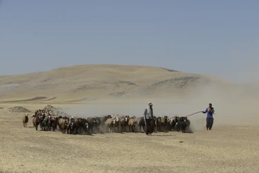 Tiendas nómadas entre Tamar y Ashkhaneh, Irán 2022 (fotografía)
