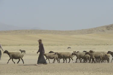Tiendas nómadas entre Tamar y Ashkhaneh, Irán 2022 (fotografía)