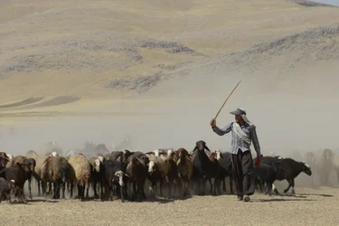 Tiendas nómadas entre Tamar y Ashkhaneh, Irán 2022 (fotografía)