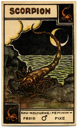 Paranormal. Astrología. Escorpio (el Escorpión). Carta astrológica de: Le Tarot Astrologique (Tarot Astrológico), de Georges Muchery, Francia.