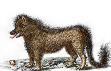 Representación de la bestia del Gévaudan, los huesos de sus víctimas esparcidos alrededor de sus piernas Grabado hacia 1764 (La bestia del Gévaudan en una representación de 1764) Colección particular