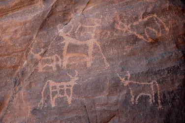 Arte rupestre, Prehistoria: Grabado de un conjunto de ganado, uno de los cuales está en la parte inferior izquierda, en el macizo de Uweinat, Egipto. (Periodo de 8000 a 3000 años a.C.). Fotografía