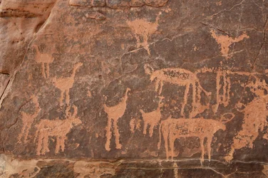 Arte rupestre, Prehistoria: Detalle de un grabado de un conjunto de avestruces y ganado en el macizo de Uweinat, Egipto (Periodo de 8000 a 3000 años a.C.)