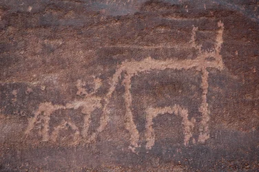 Arte rupestre, Prehistoria: Grabado de una vaca y su ternero en el macizo de Uweinat, Egipto. (Periodo de 8000 a 3000 años a.C.)