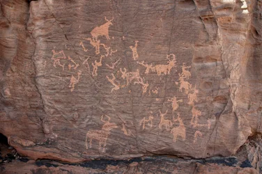 Arte rupestre, Prehistoria: Grabado de un grupo de ganado, avestruces y personajes en el macizo de Uweinat, Sudán (Karkur-Talh o Karkur Talh). Periodo de 8000 a 3000 años a.C. Fotografía