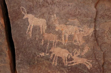 Arte rupestre, Prehistoria: Grabado de un conjunto de antílopes y un perro (abajo a la derecha) en el macizo de Uweinat, Egipto. (Periodo de 8000 a 3000 años a.C.)