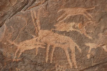 Arte rupestre, Prehistoria: Grabado de un antílope atacado por una manada de perros en el macizo de Uweinat, Egipto (Período de 8000 a 3000 años a.C.). Fotografía