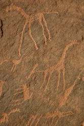Arte rupestre, Prehistoria: Grabado de jirafas, avestruces, otros animales y personajes en el macizo de Uweinat, Sudán (Karkur-Talh o Karkur Talh). Período de 8000 a 3000 años a.C. Fotografía