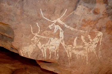 Arte rupestre, Prehistoria: Pintura rupestre de ganado con grandes cuernos en un refugio adornado en el macizo de Uweinat, Sudán (Karkur-Talh). Período de 8000 a 3000 años a.C. Fotografía