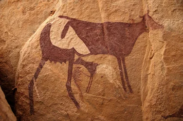 Arte rupestre, Prehistoria: Pintura rupestre de una gran vaca bicolor y su ternero en un refugio ornamentado, en el macizo de Uweinat, Sudán. Período de 8000 a 3000 años a.C. Fotografía