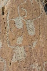Grabados rupestres del Vallée de Fontanalba / figuras corniformes encajadas o ganado bovino / Parque Nacional del Mercantour / Tende / Alpes Marítimos / Francia