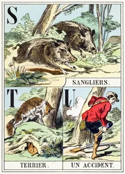 S T U: Jabalí, Terrier, Un accidente - El Alfabeto de la Caza, c.1890