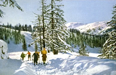 Excursión de esquí en la Riviera francesa, c.1930 (Tarjeta postal)