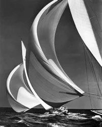 Spinnakers en veleros de regata