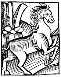 Caballo brioso parado sobre sus cuartos traseros